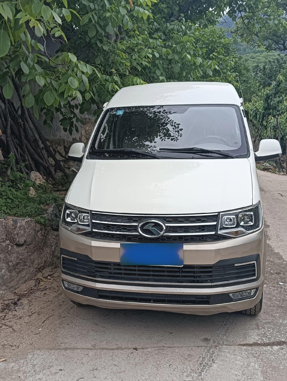豪华商务车 九座金龙客车,超大空间,真皮座椅有用的老板联系