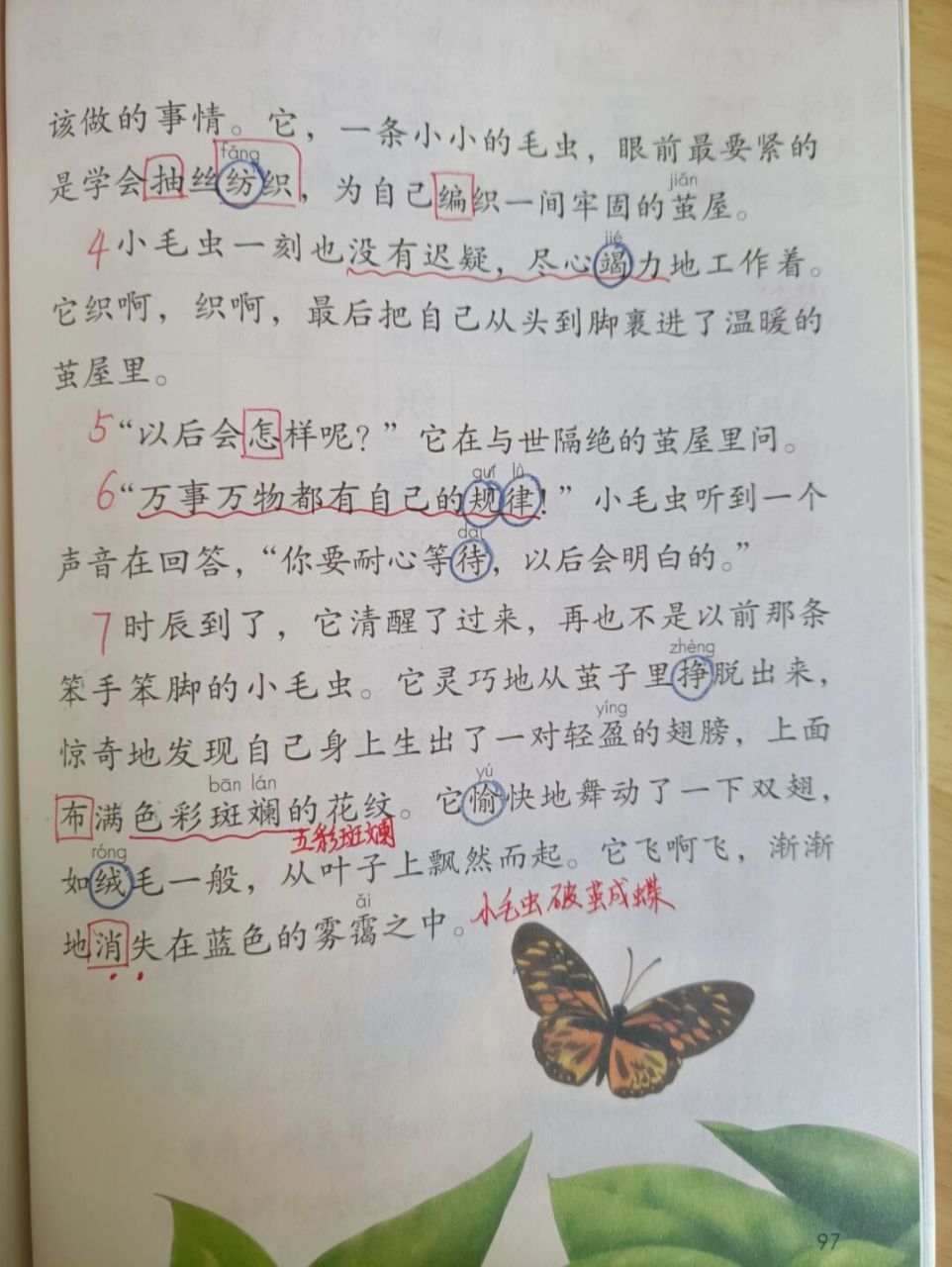 《小毛虫》预习课堂笔记备课 #教师备课# ##二年级语文# #预习# #课堂