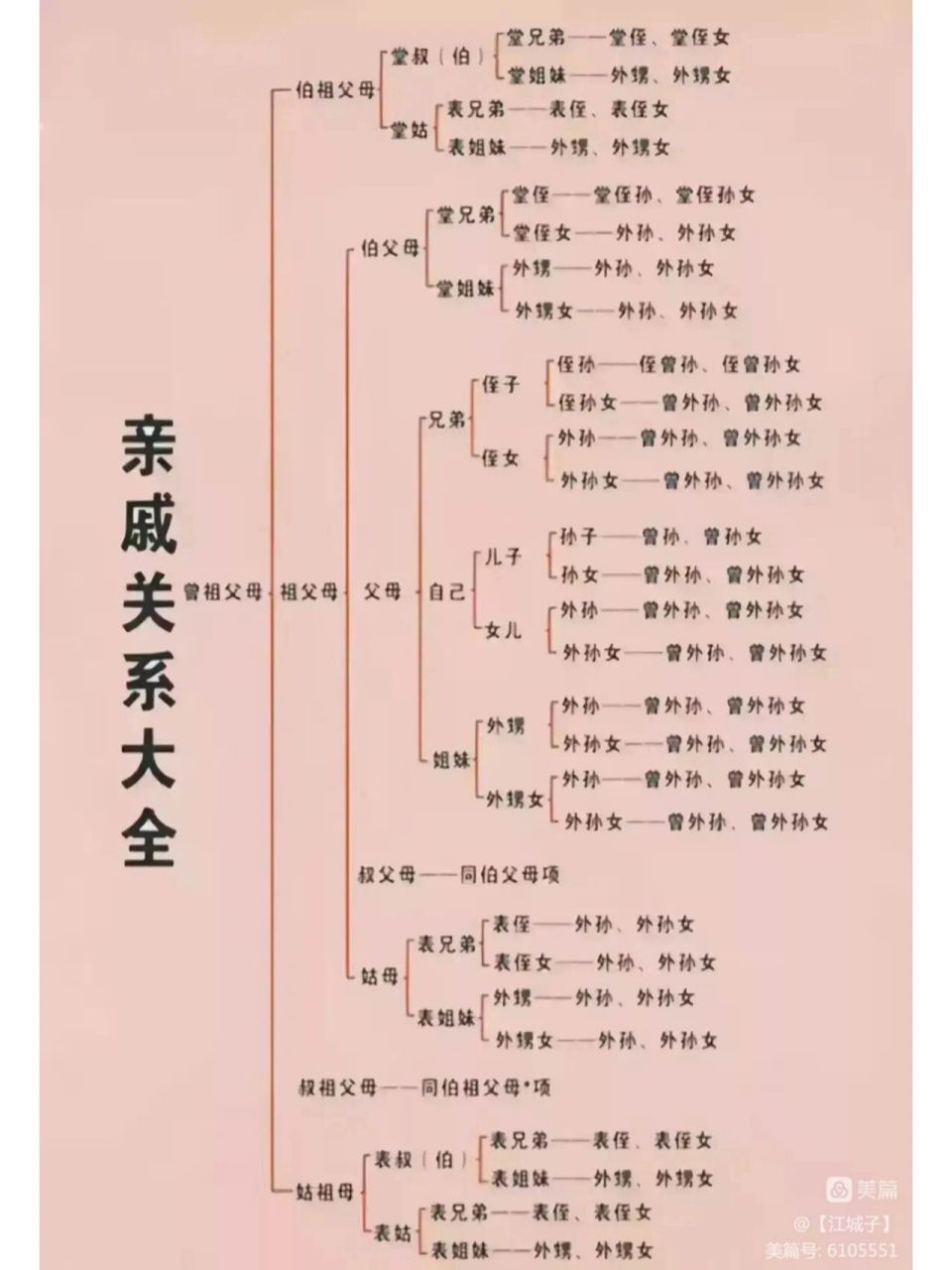 亲戚关系 亲戚关系竟然这么复杂,看完这张图,终于把这些亲戚关系的