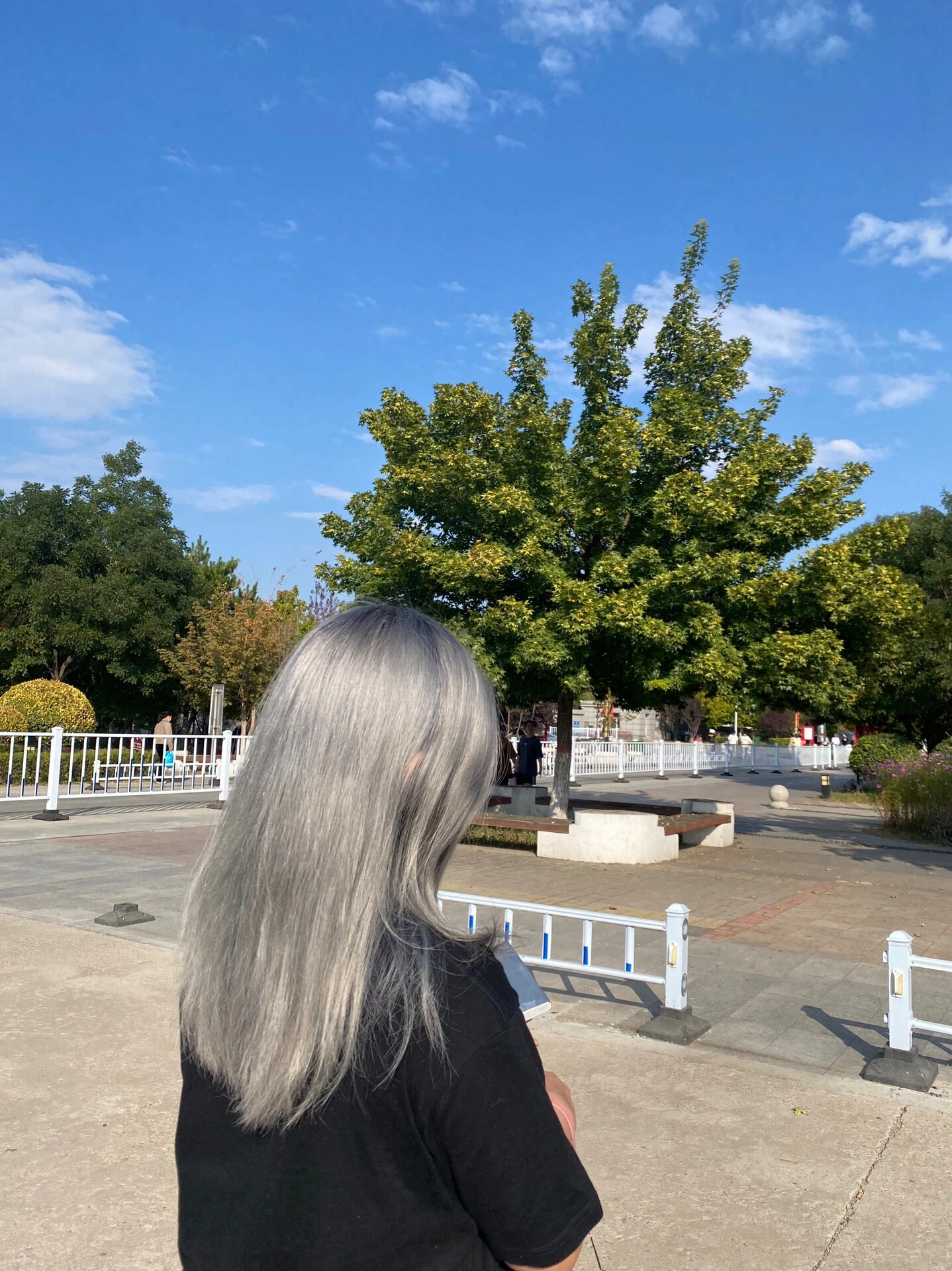 花王纽约灰棕,你掉的能再快一点吗 p1-p3刚染,美活了家人们又显白又