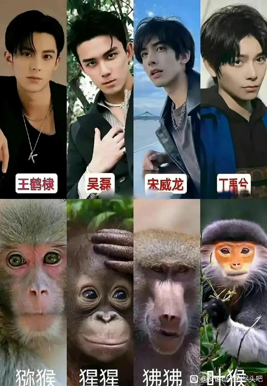 有网友整理了四位95猴系男星对应的猴象!