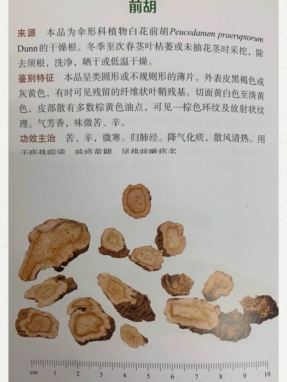 前胡和桔梗对照图片图片