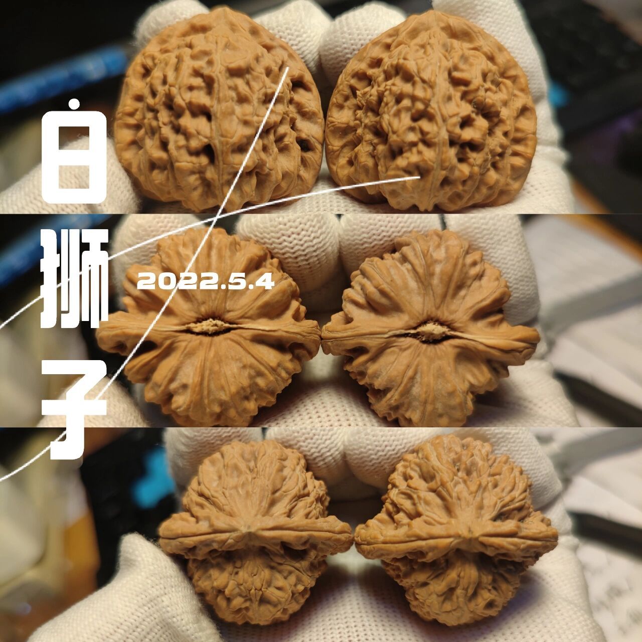 文玩核桃之白狮子 其实文玩核桃99,又称"手疗核桃","健身核桃","