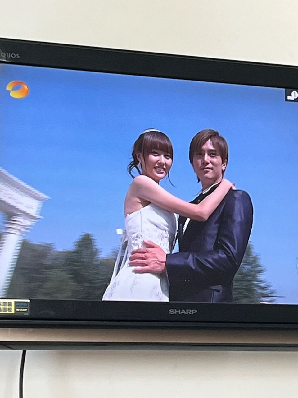 爱情真善美 大家喜欢哪对? 我喜欢严格和天美0606