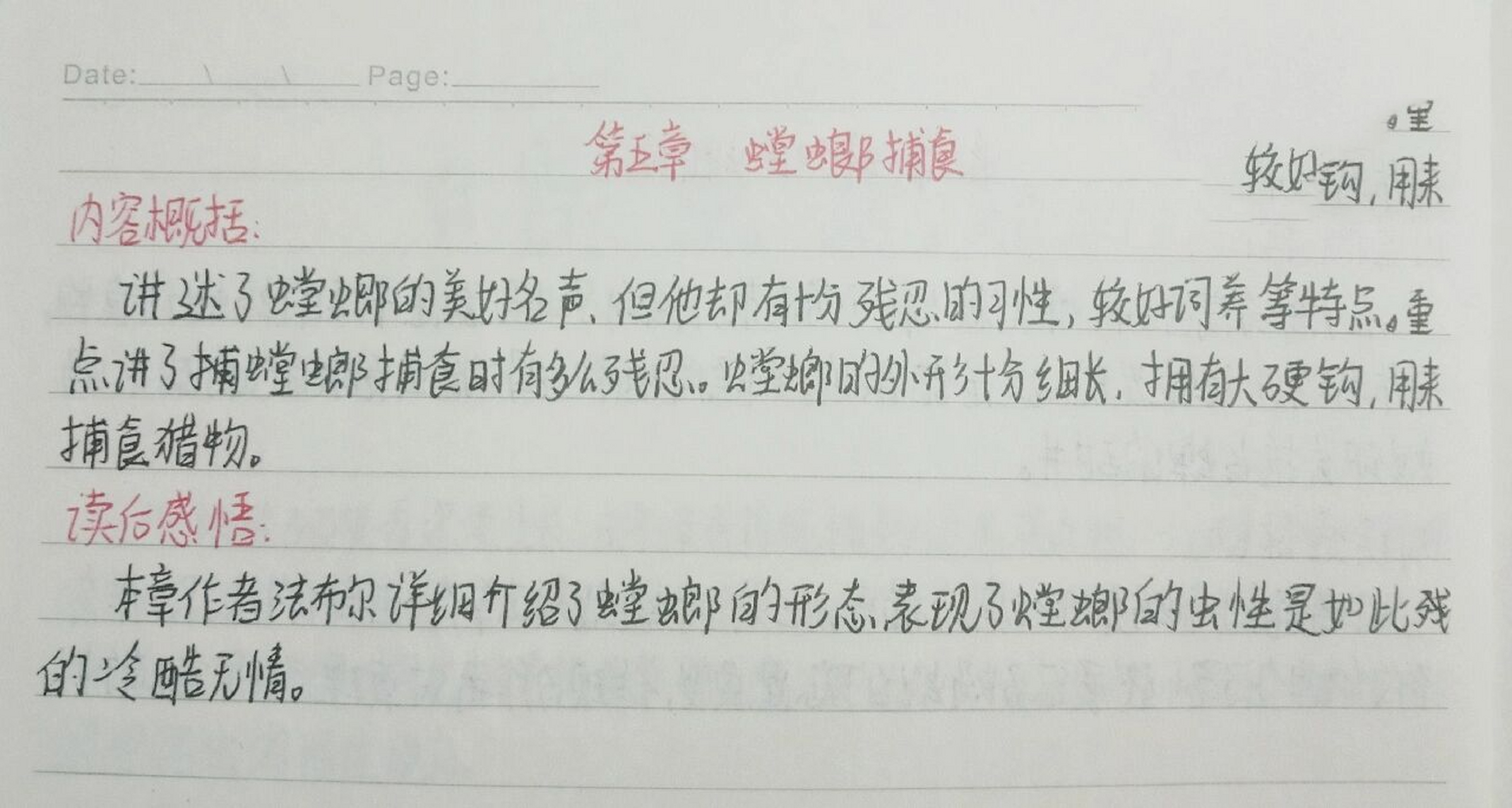 昆虫备忘录螳螂作文图片