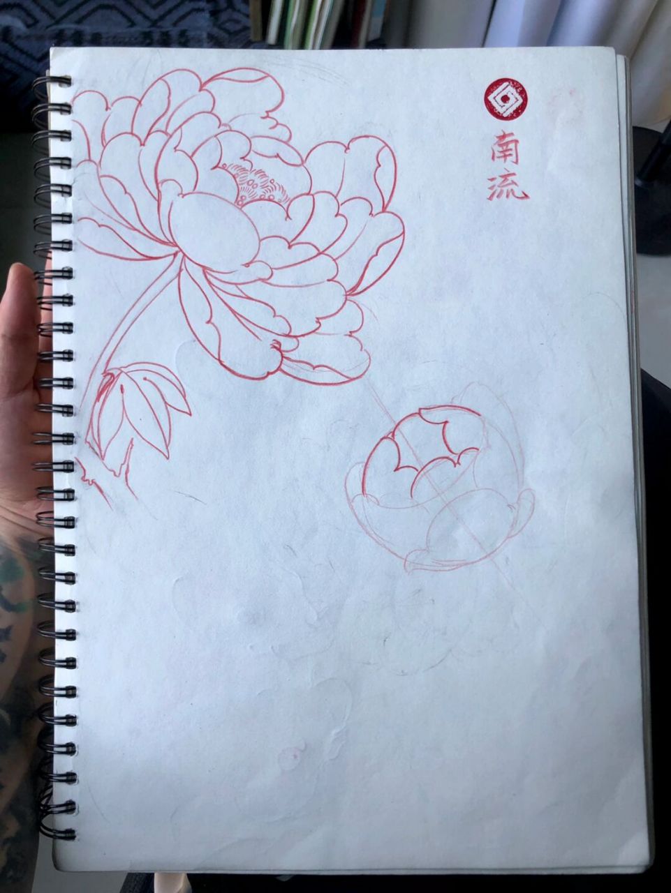 牡丹花绘画步骤 应粉丝要求随手画一朵,从花苞打形到花瓣逐渐绽放 学