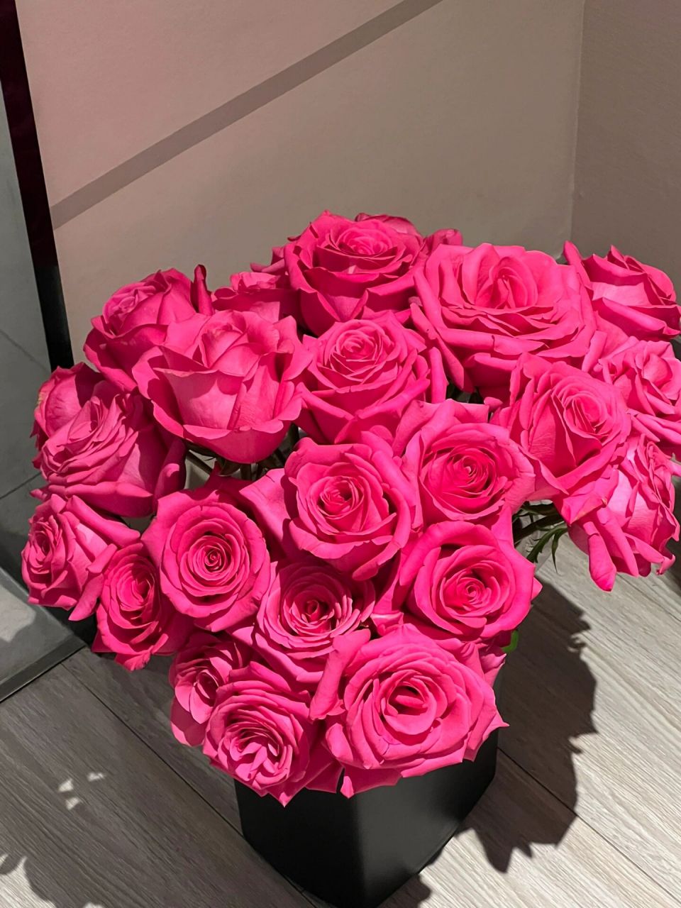 弗洛伊德玫瑰yyds 养过玫瑰就不会爱上别的花 花头超大 绽放的好热烈