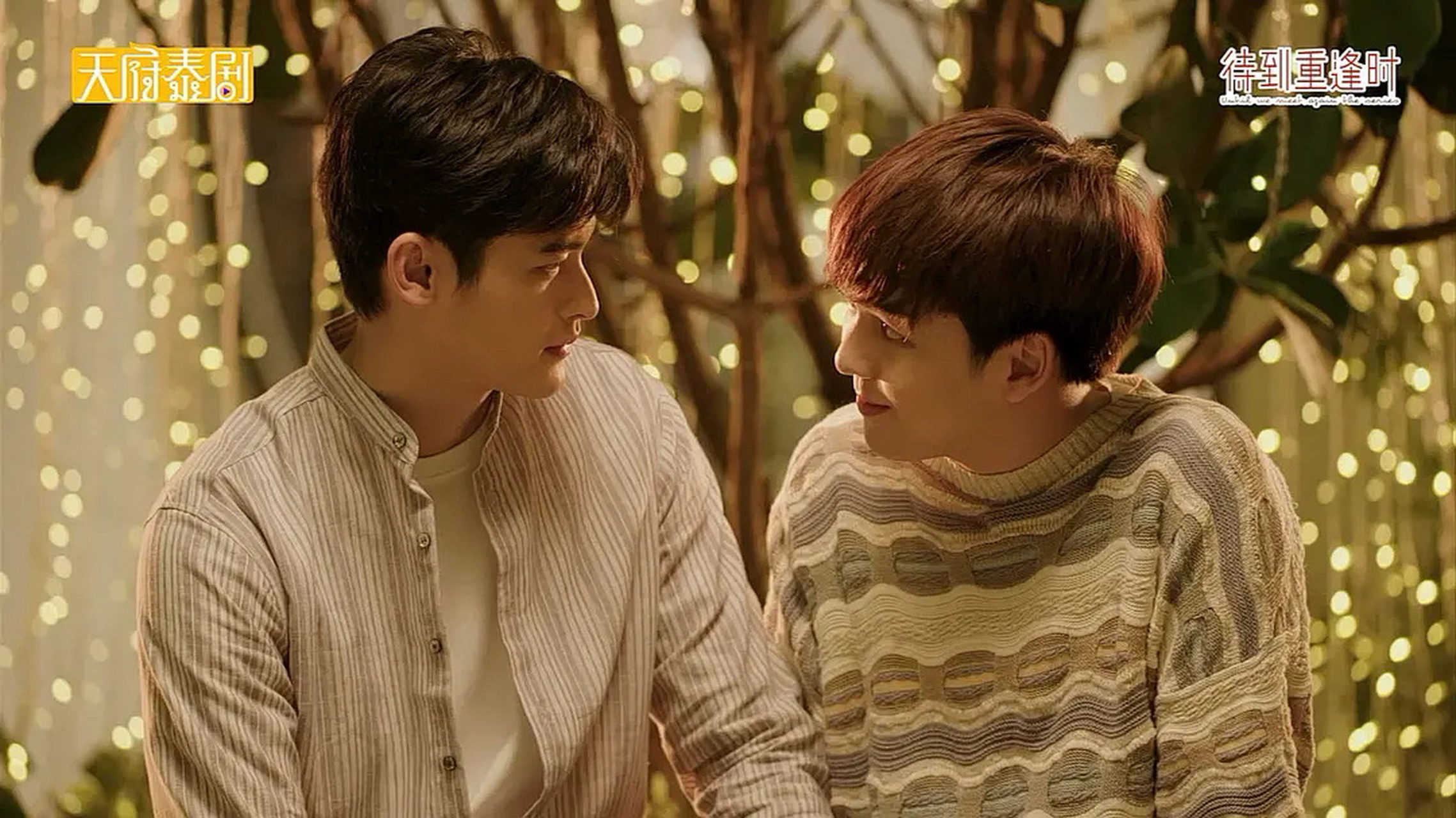 待到重逢时 全刷完了!这可是看麻绳的时候万万没想到的!