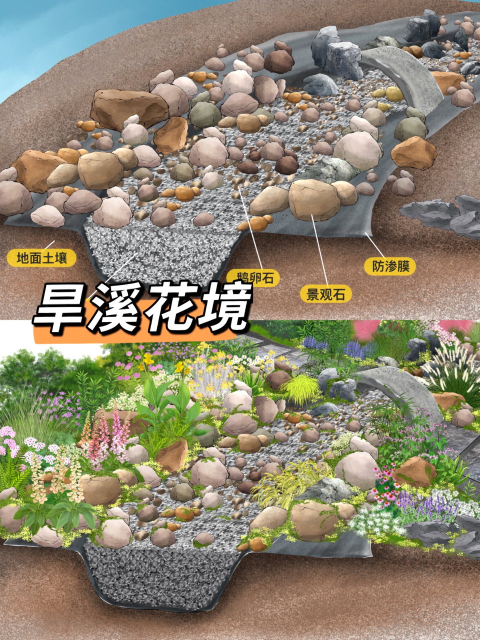旱溪花境/一眼就看懂(含剖面图于植物名称)