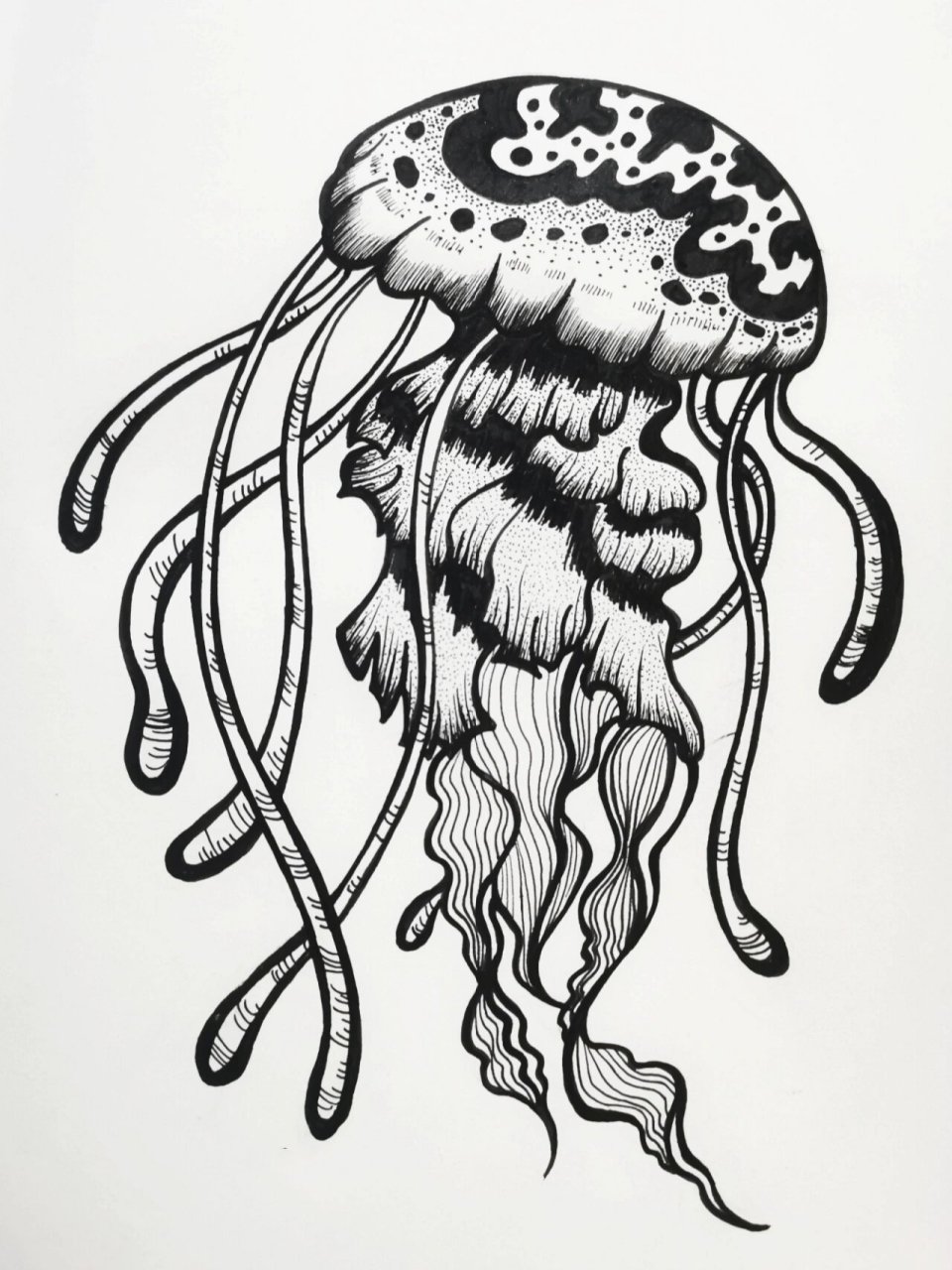 线描装饰画丨水母丨附步骤 ①草稿,先用铅笔画出伞形的身体,再画长长
