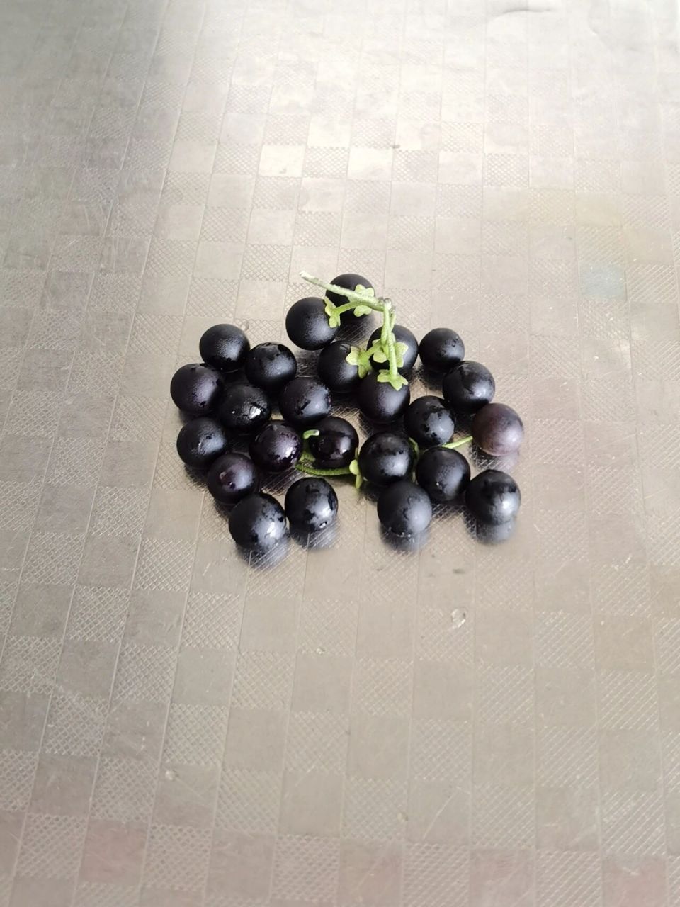 黑龙江常见野生水果 这种野生浆果在我们这里叫黑悠悠,有的地方叫黑