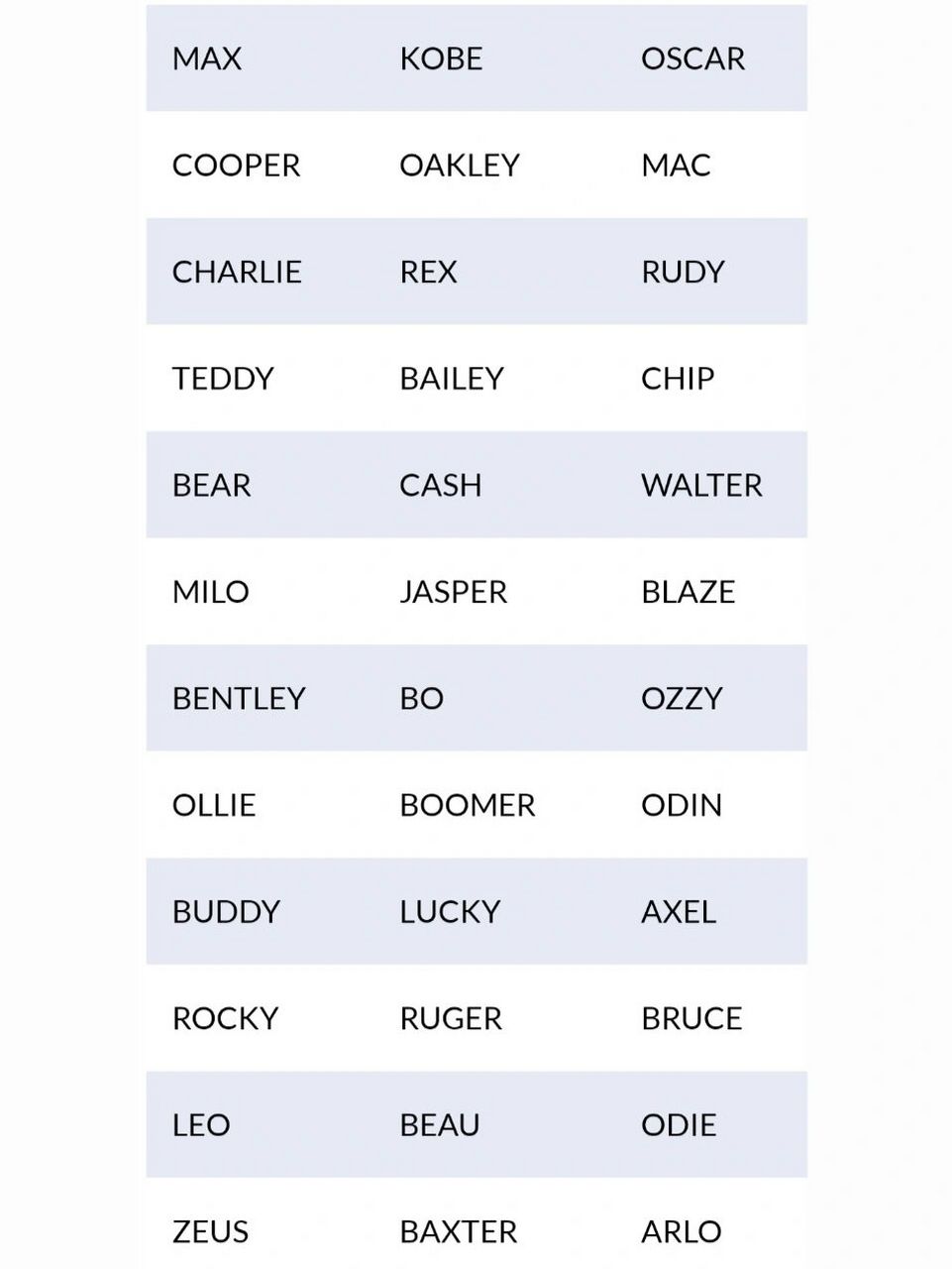 给男狗狗起的英文名字