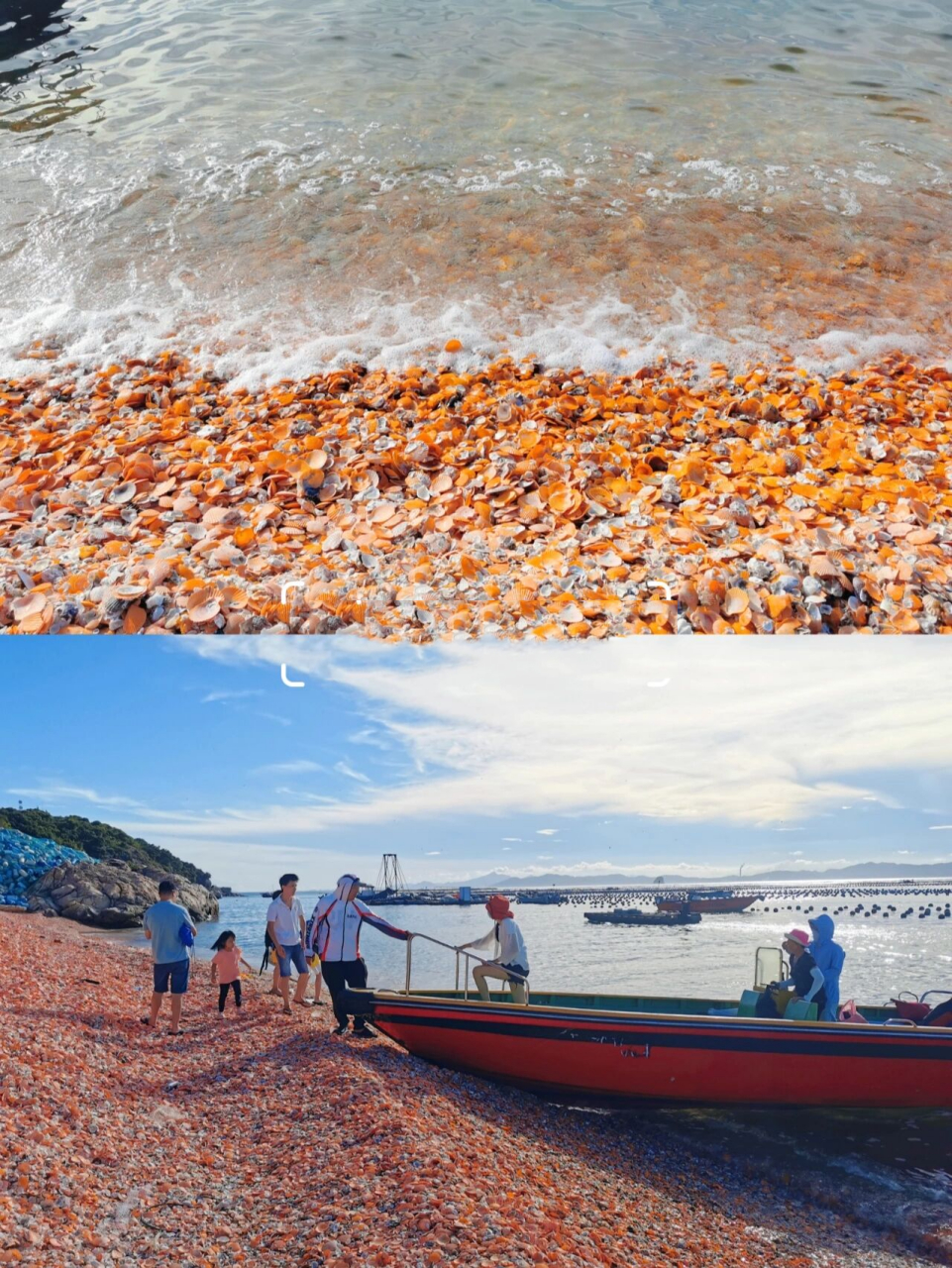这才是汕尾第一网红海滩,遍地彩色贝壳92 汕尾的海滩千千万92不是