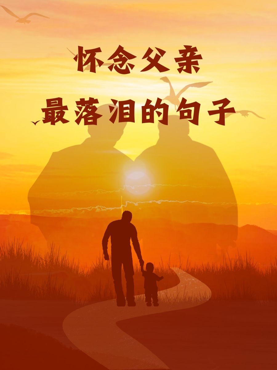 怀念父亲最落泪的句子