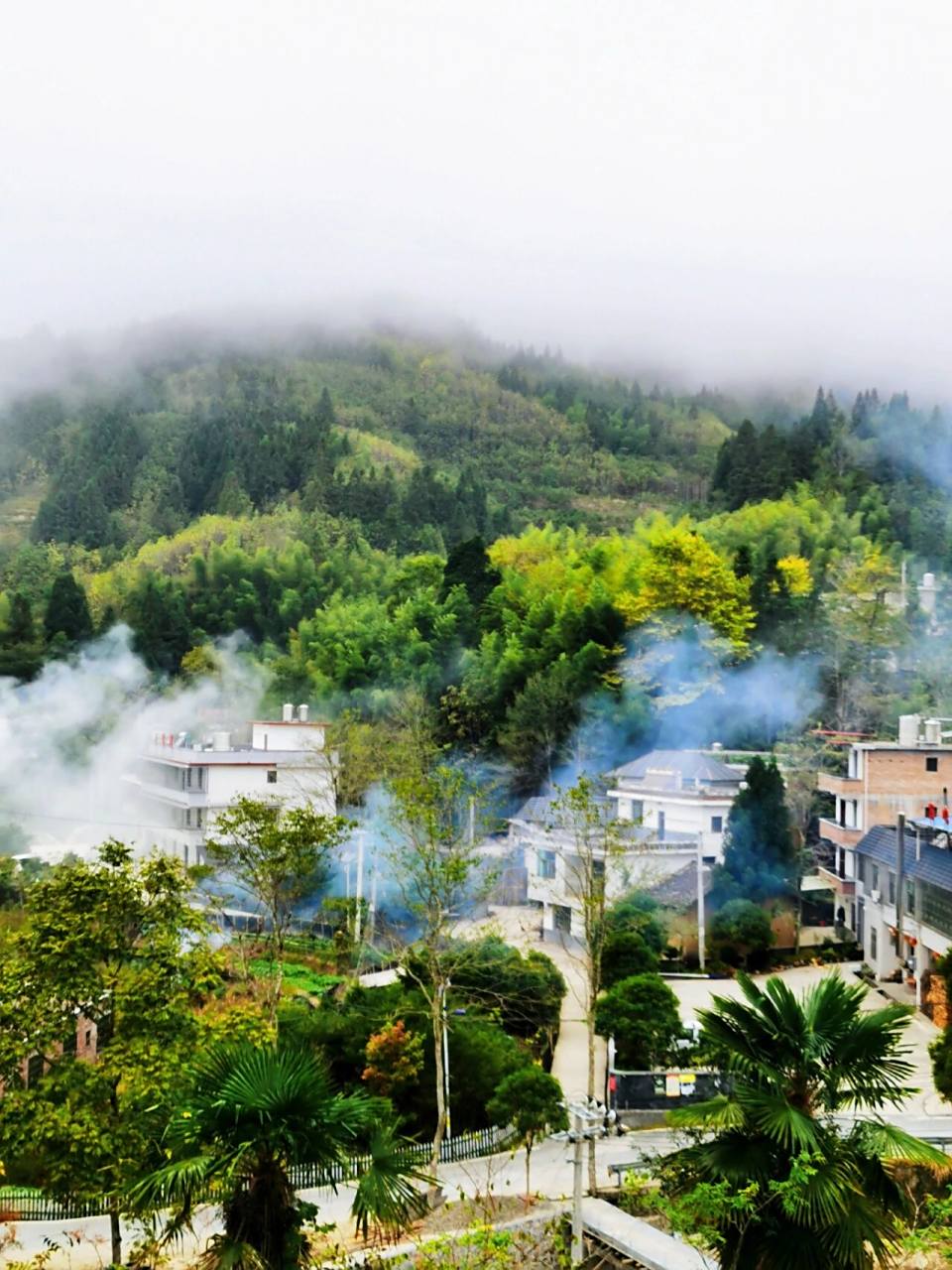 大洞村位于桂东县沤江镇东北部4公里,平均海拔1100米,因盛产红豆杉