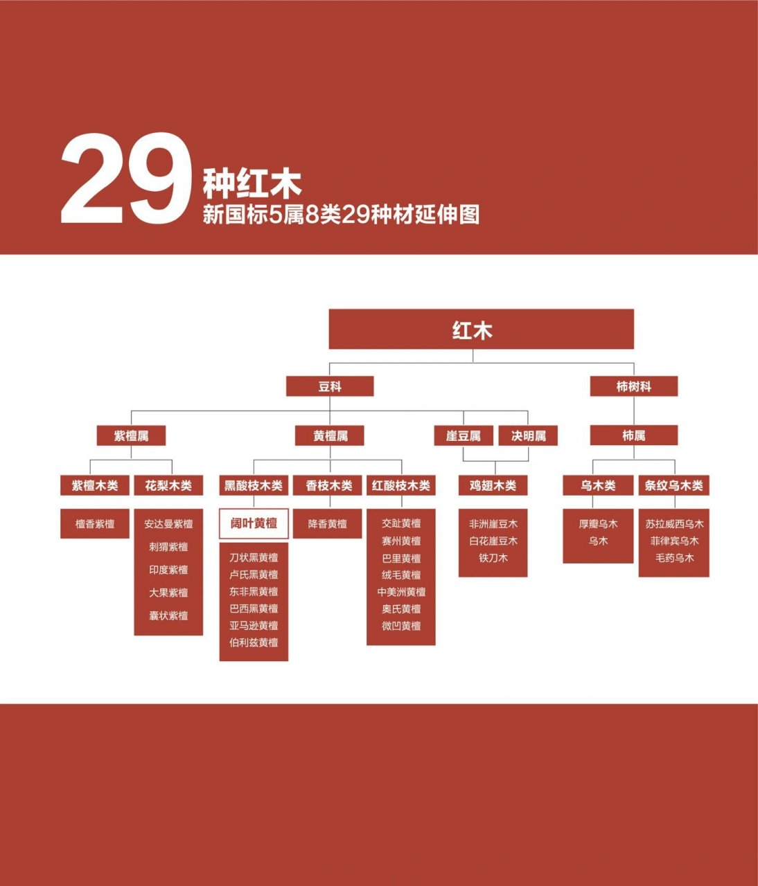 五属八类三十三种木材图片