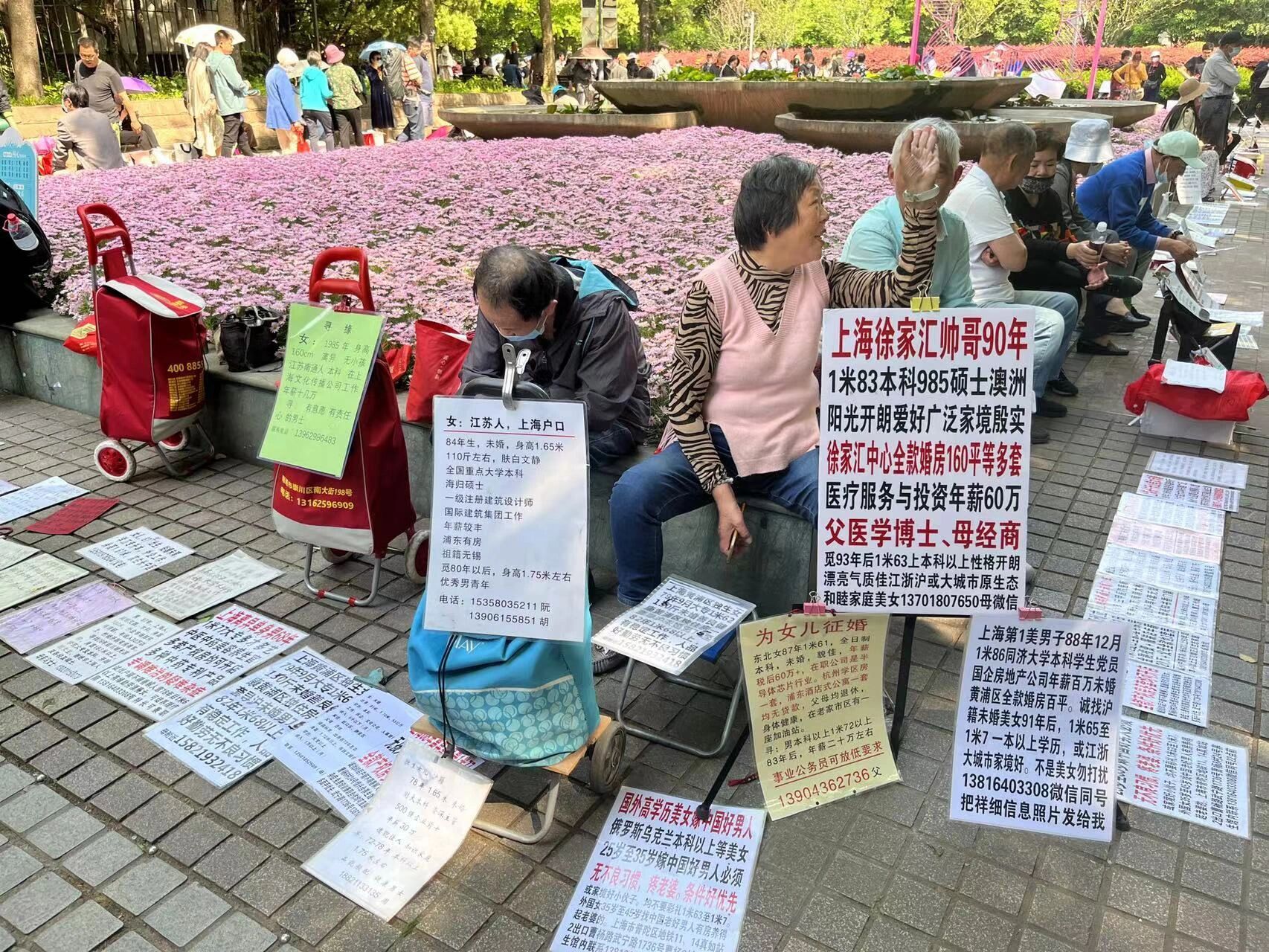 家人们快来上海世纪公园相亲角寻觅爱情 家人们快来上海世纪公园相亲