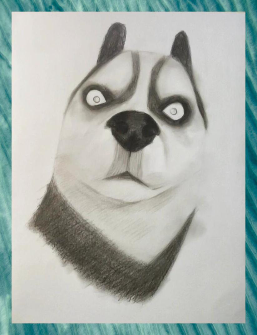 二哈趣味惊讶 素描表情包