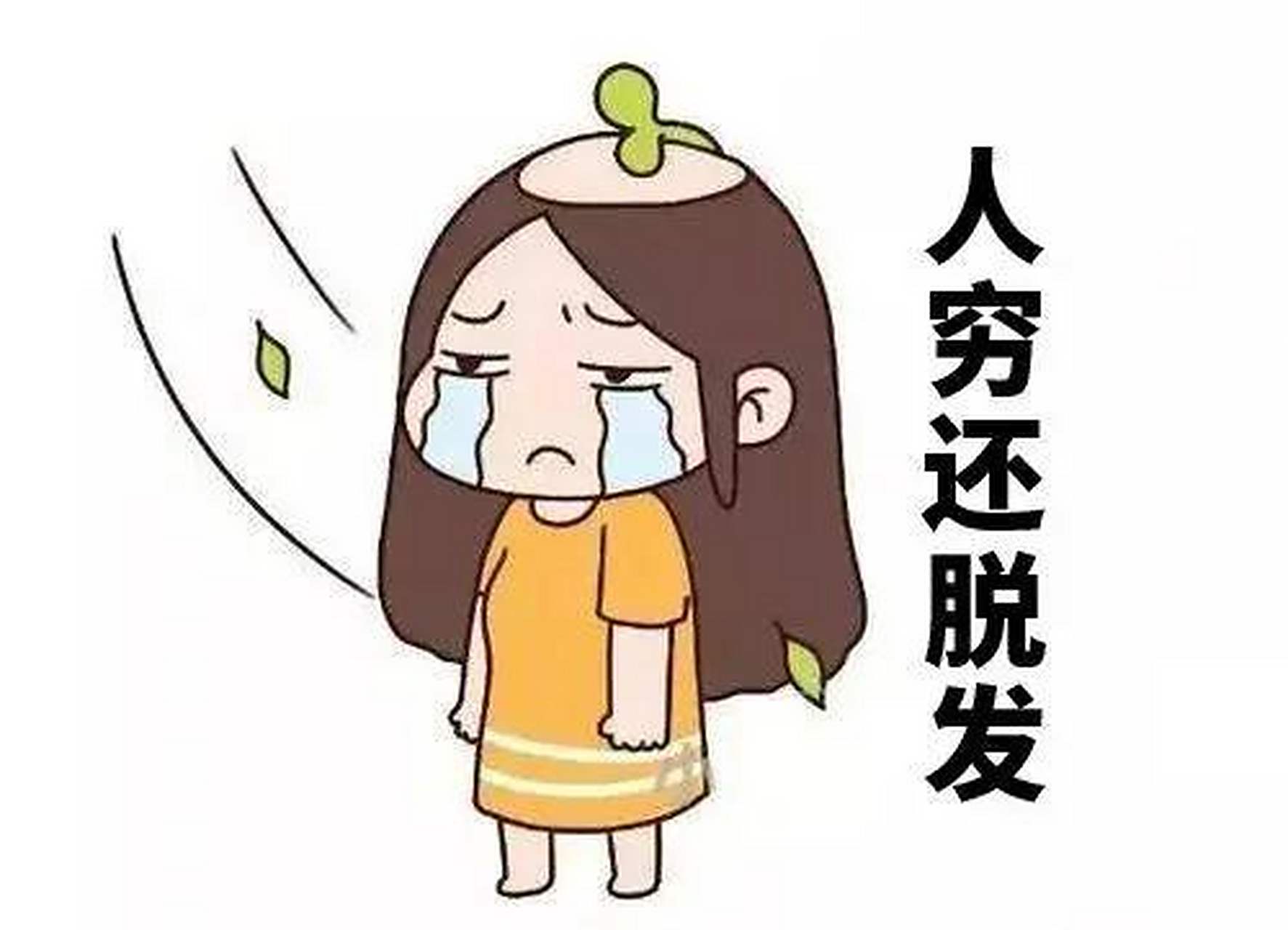 但如果每天掉发超过100根,并连续3个月以上,要警惕脱发.