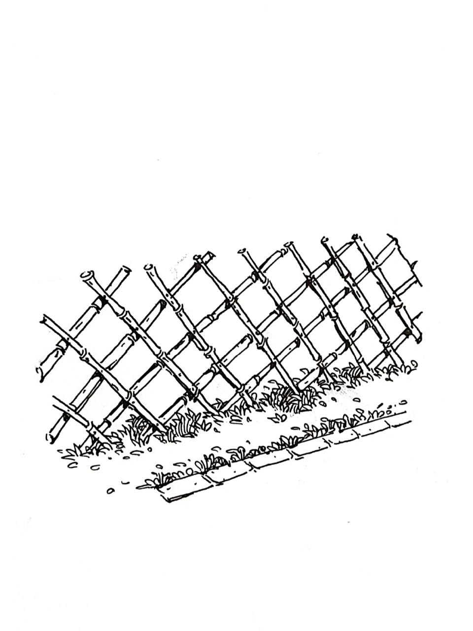 速写‖竹篱笆怎么画?