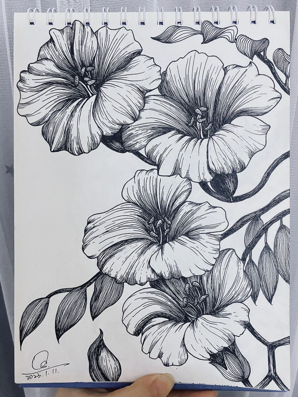 黑白画手绘|鲜花尤其娇艳,所及皆是浪漫.