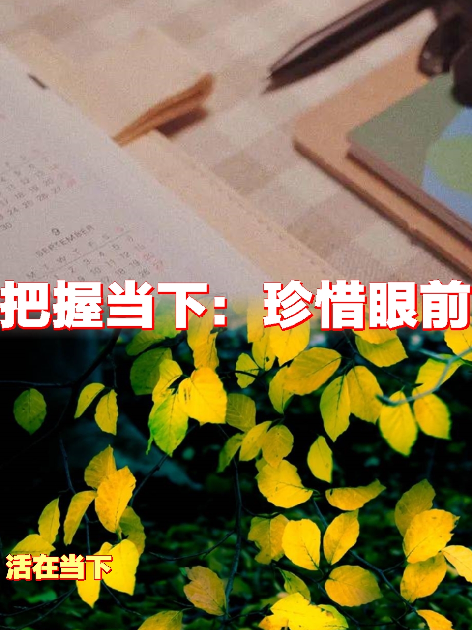 把握当下:珍惜眼前,活在当下  当下是一个瞬息万变的时刻,我们每个人