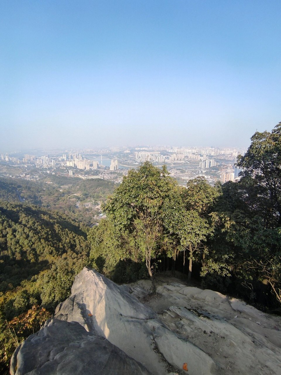 重庆歌乐山森林公园|这就是山顶的风景!