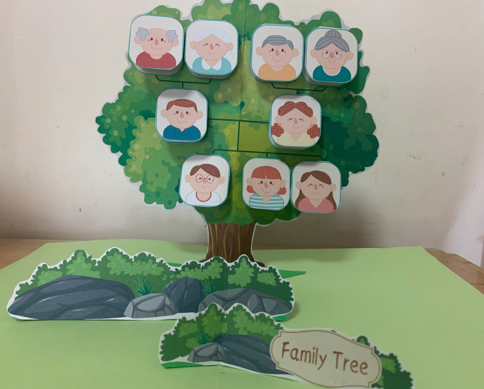 家庭树翻翻书family tree