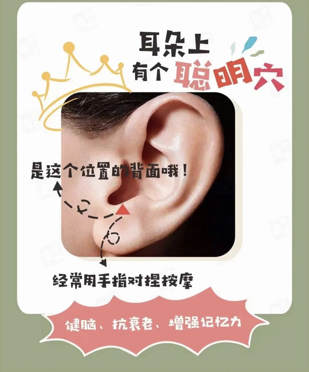 聪明穴 耳朵好似一个倒置的人体,人体的各个部位在