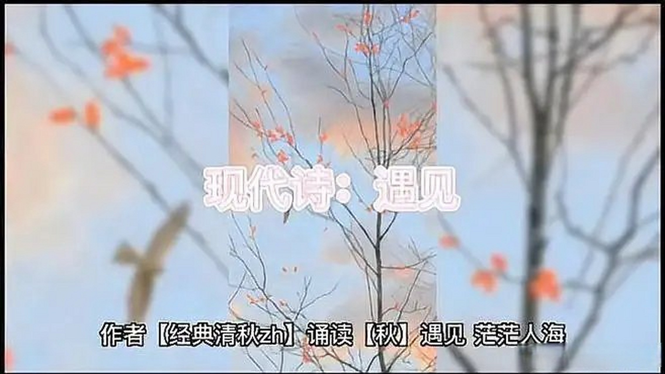 《现代诗(遇见)》现代诗(遇见)[网页链接]