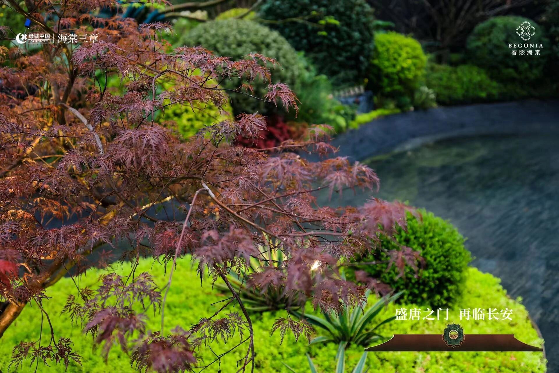 高新板块四代建筑春熙海棠 绿城海棠三章二地块之春熙海棠实景园林