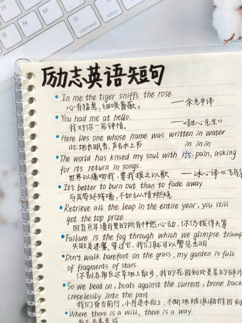 励志英语短句,希望这些句子带给你力量93 柚子来更新啦～ 这期是