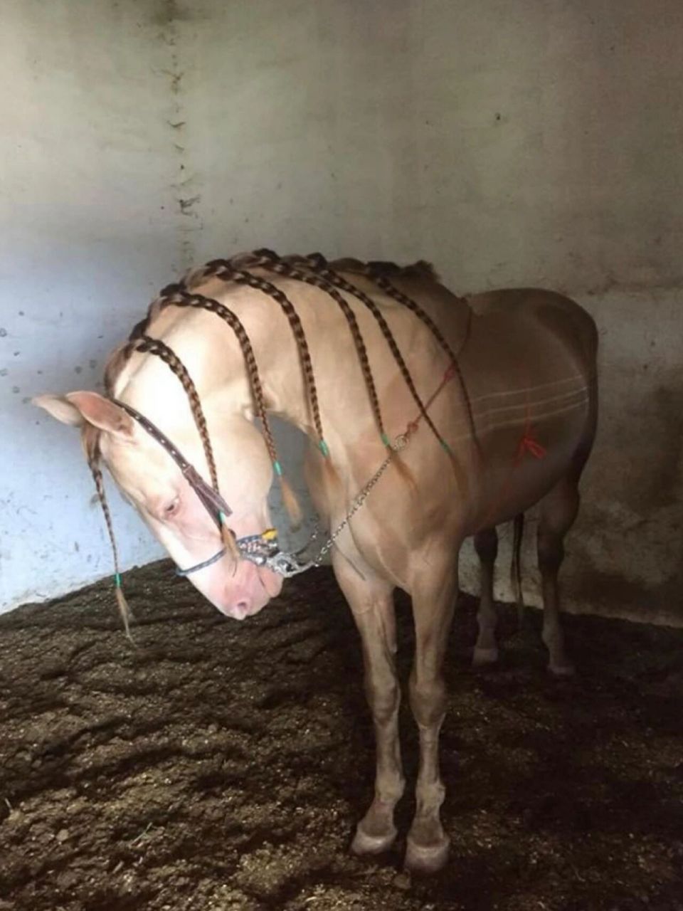 95 - by@imagenationparis #提高审美# #365审美积累# #365天摄影