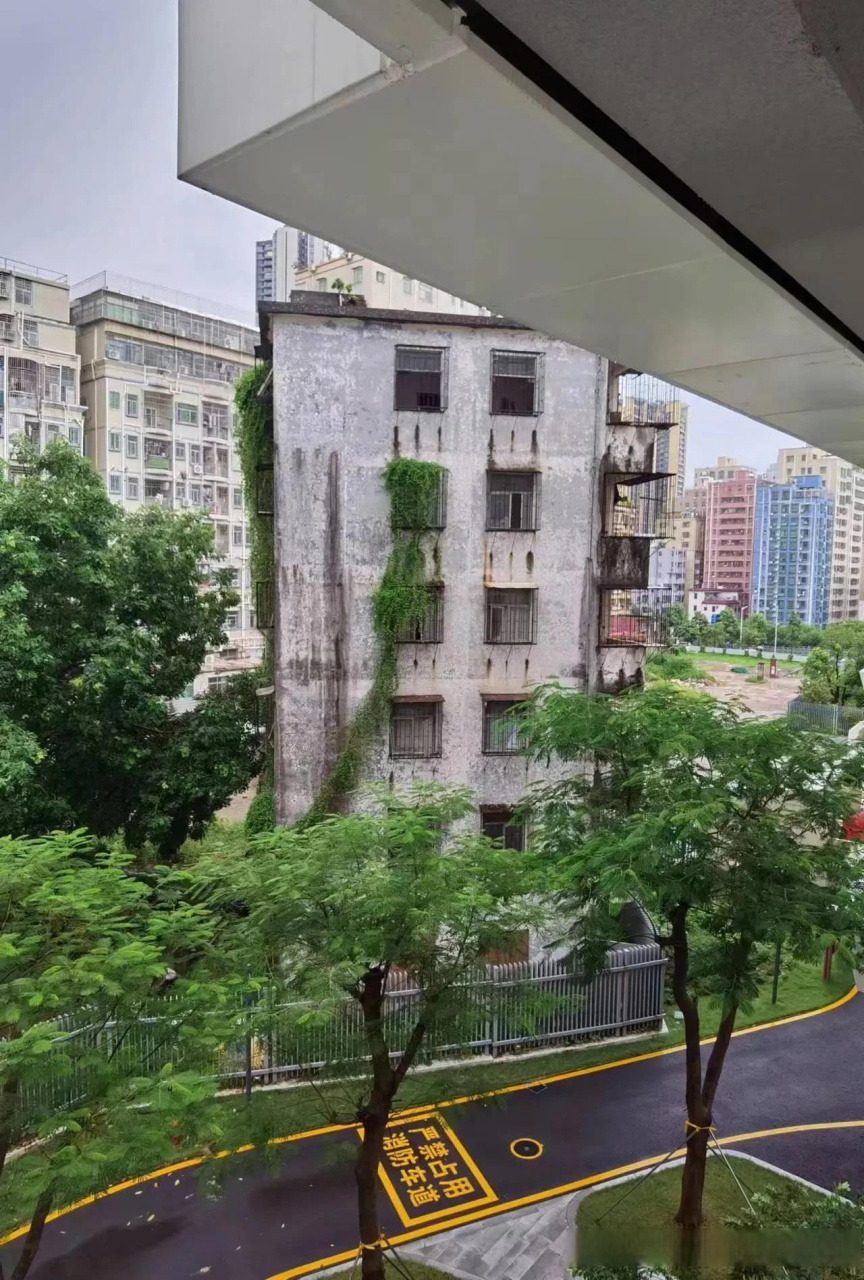 深圳网红钉子户,终于得到解决,开学同学们有望从正门进校了,深圳的