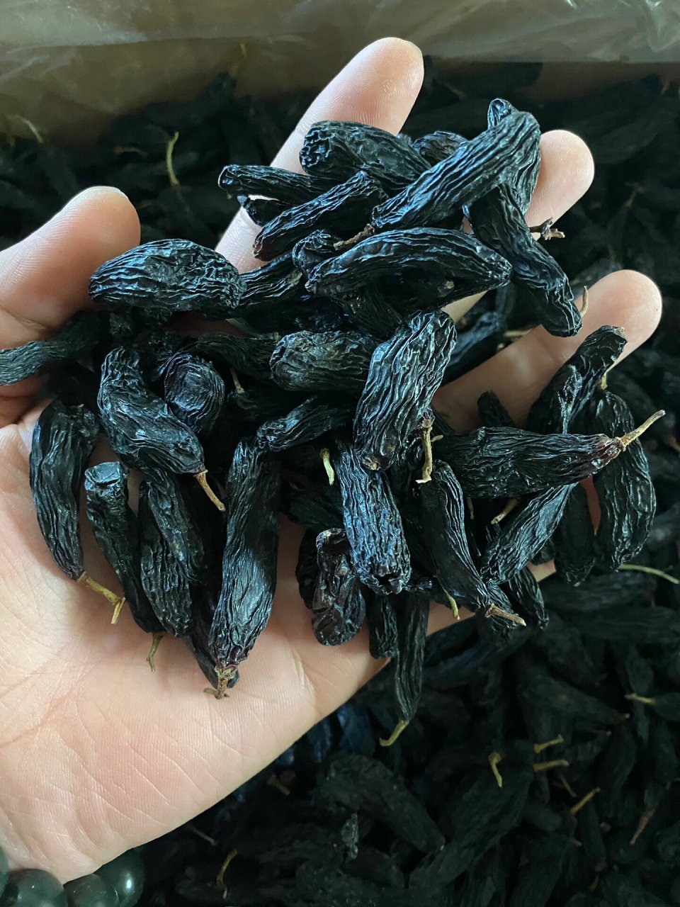 黑长的黑长的蓝宝石葡萄干～ 超级好吃的蓝宝石葡萄干 和眉毛一样长和