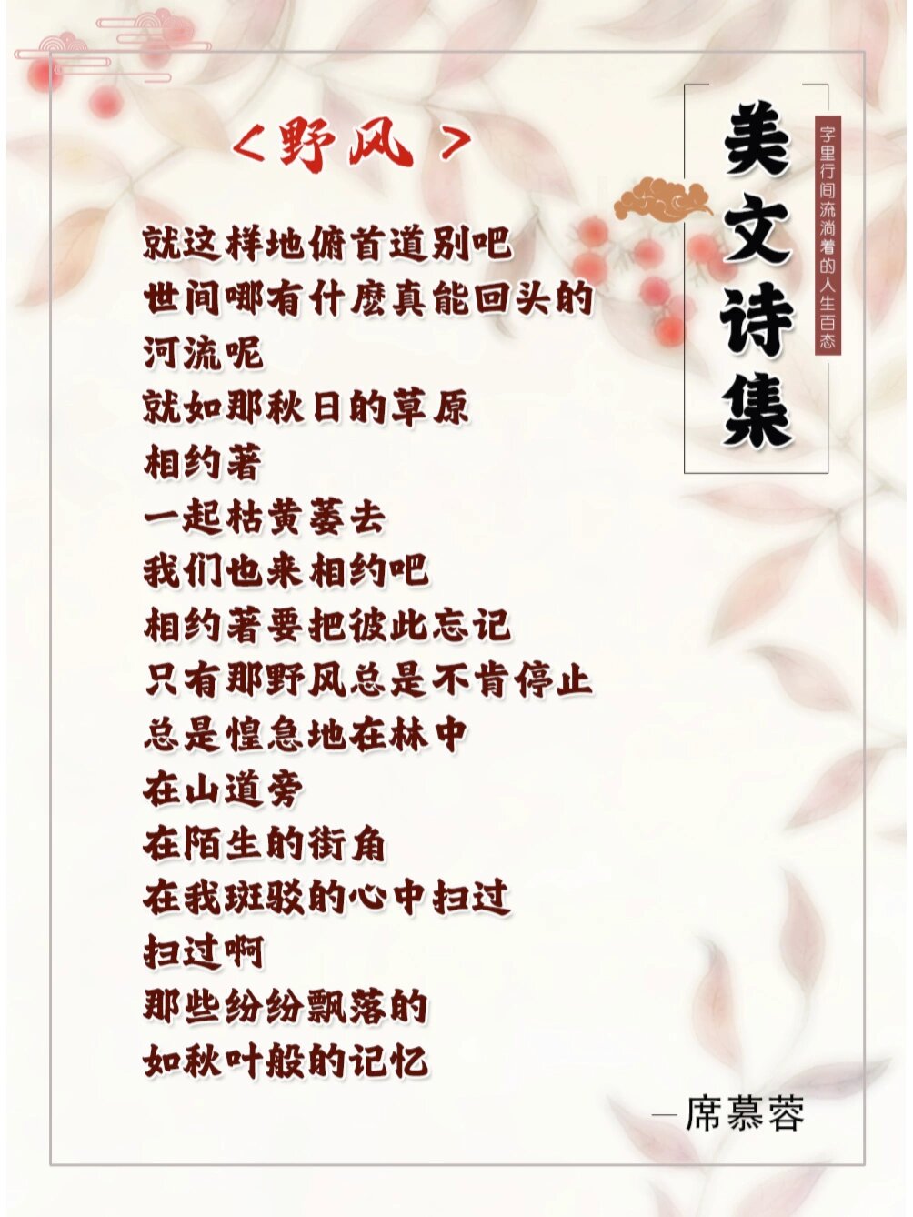 🎀美文诗集🔆喜欢的诗词《野风》席慕容