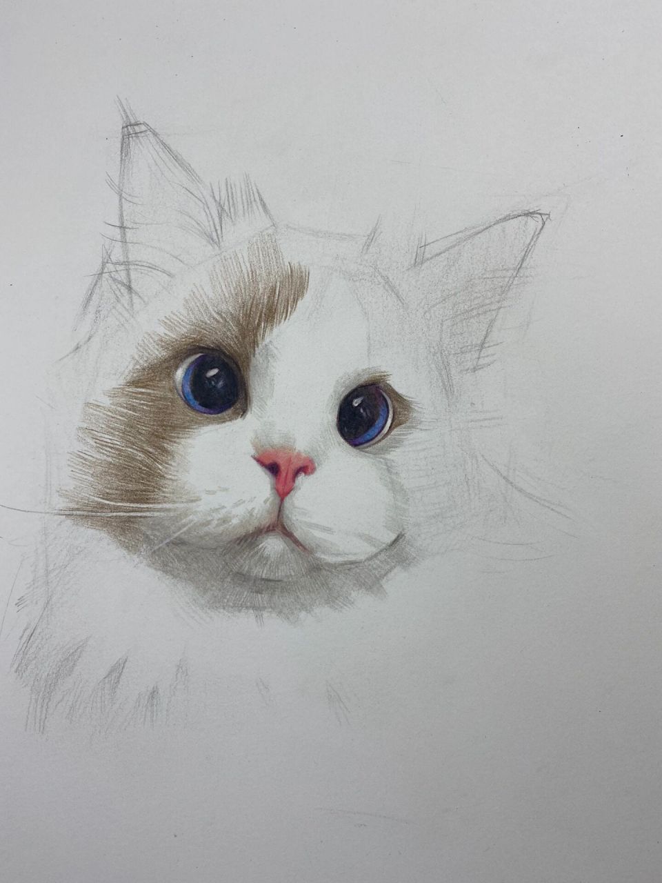 彩铅猫咪(带步骤) 很久没发彩铅画了,慢慢淡出彩铅圈,大家且行且珍惜