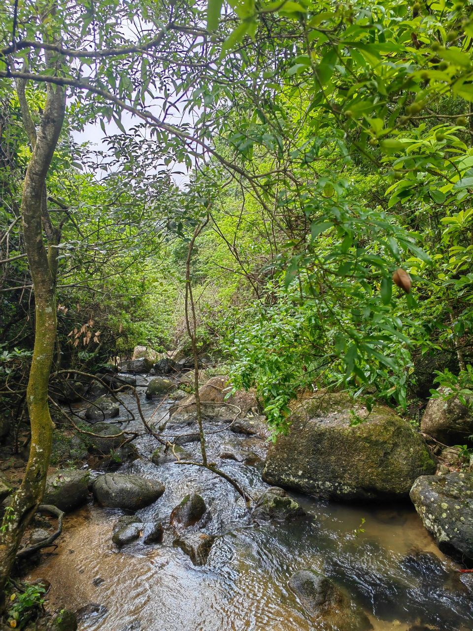 云髻山景区-广东省新丰县