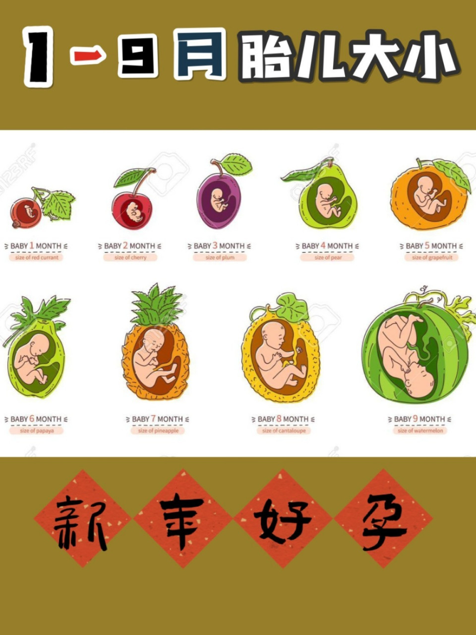 胎儿大小,月份大小对应水果 十月怀胎,每77一个月宝宝到底有多大?
