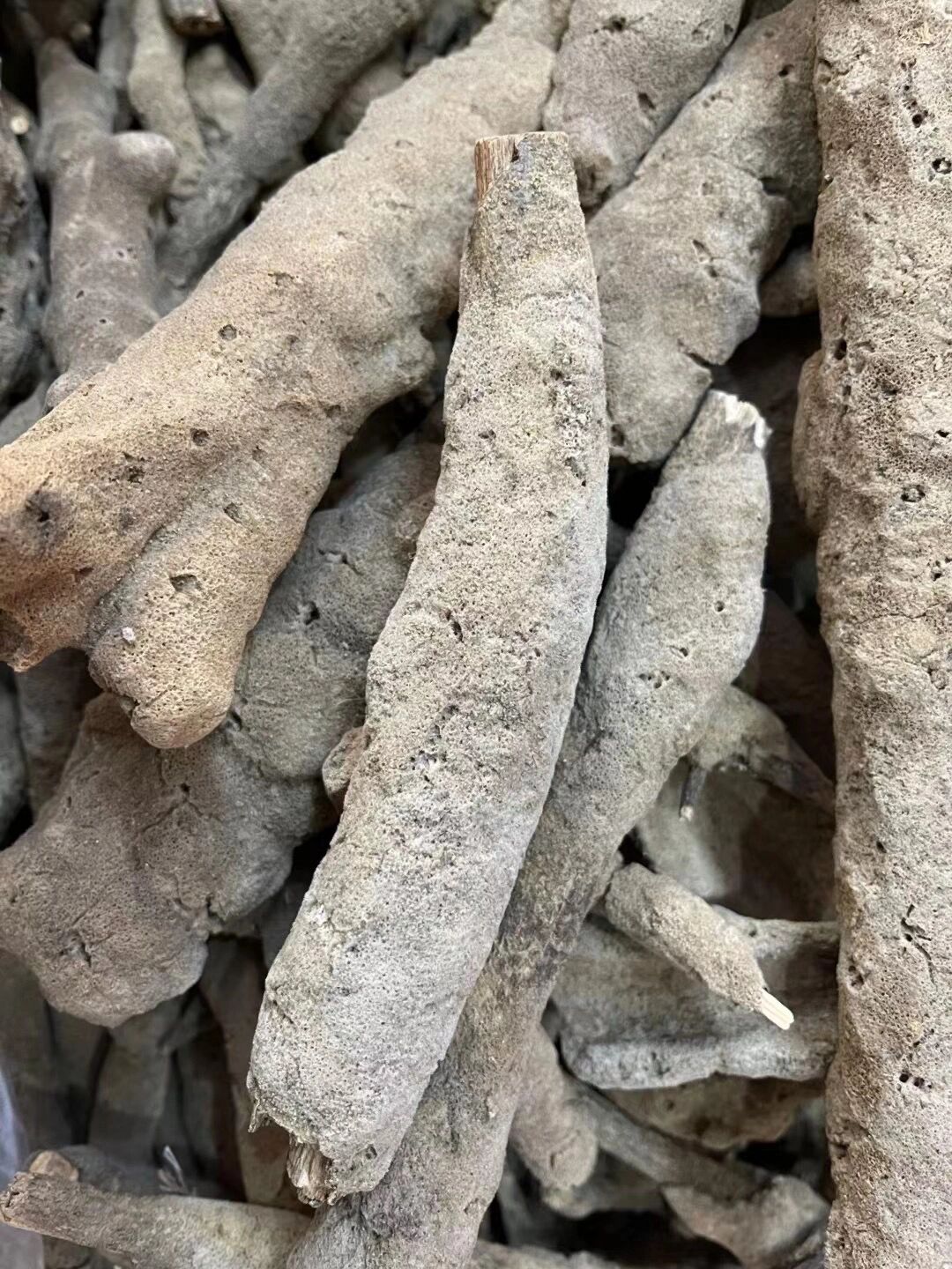 老家河里常见的植物,是一价难求的中药材 紫梢花【别名】紫霄花,花子