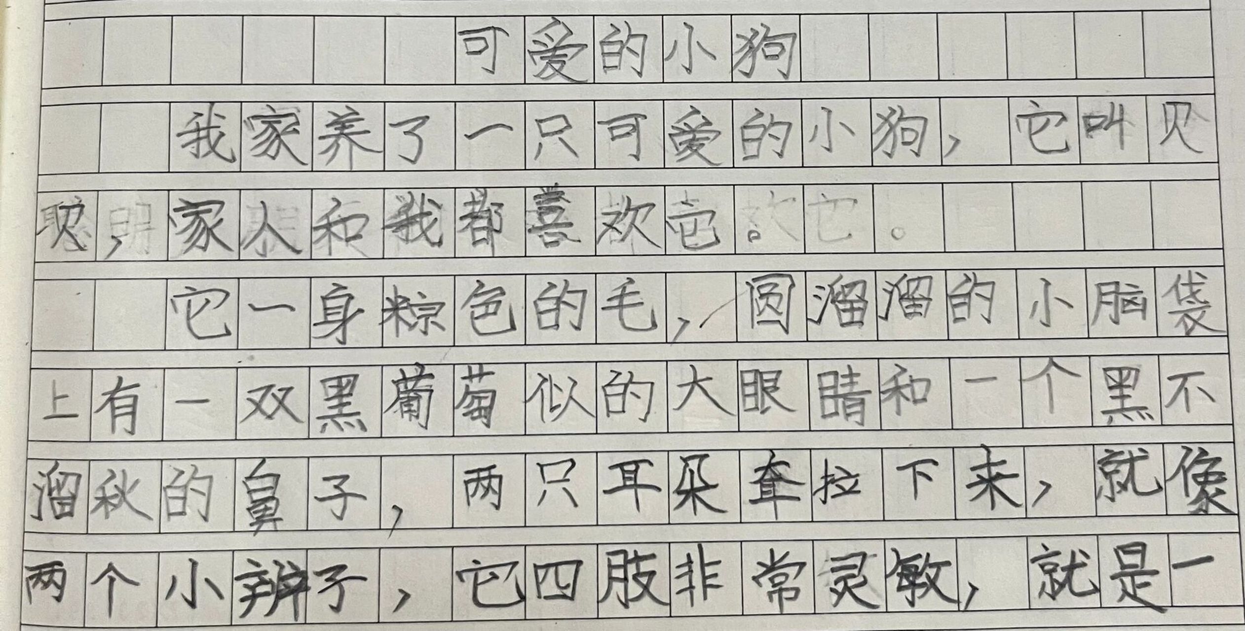 可爱的小狗作文 本文描写了小狗的外形,和它发生的事情(起因,经过