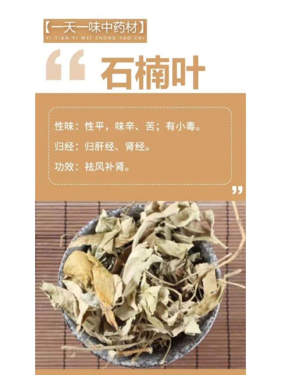 石楠叶用量图片