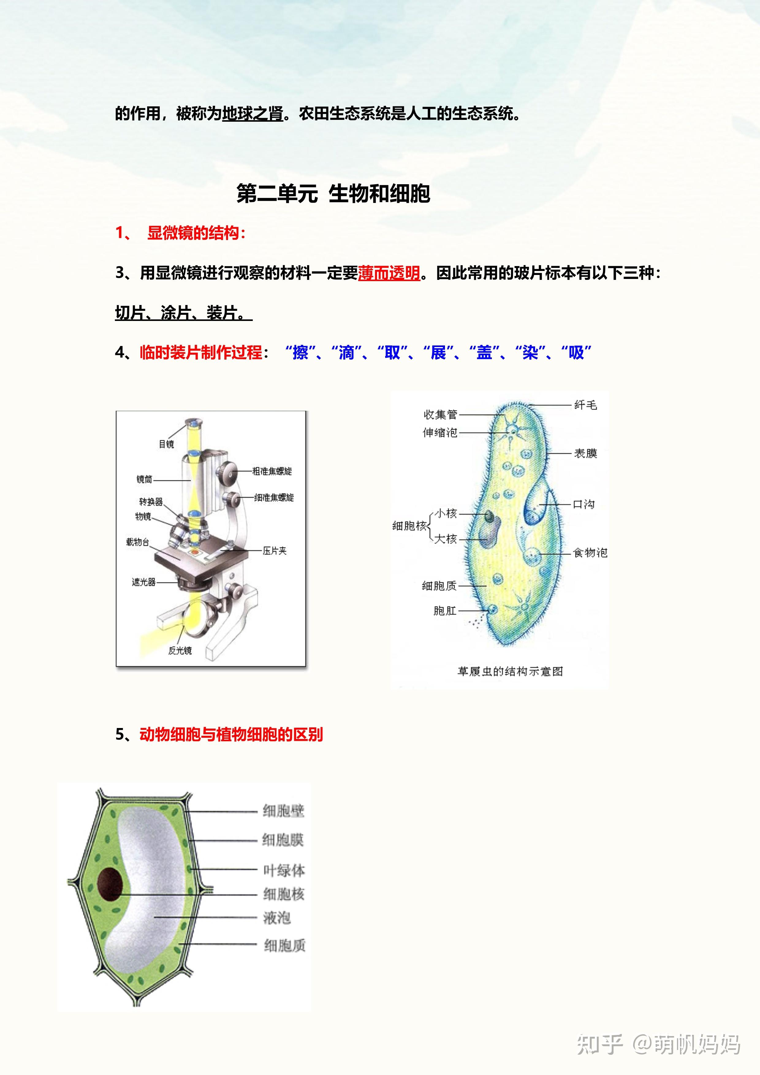 生物各大实验七上(七年级上册生物所有实验报告)  第1张