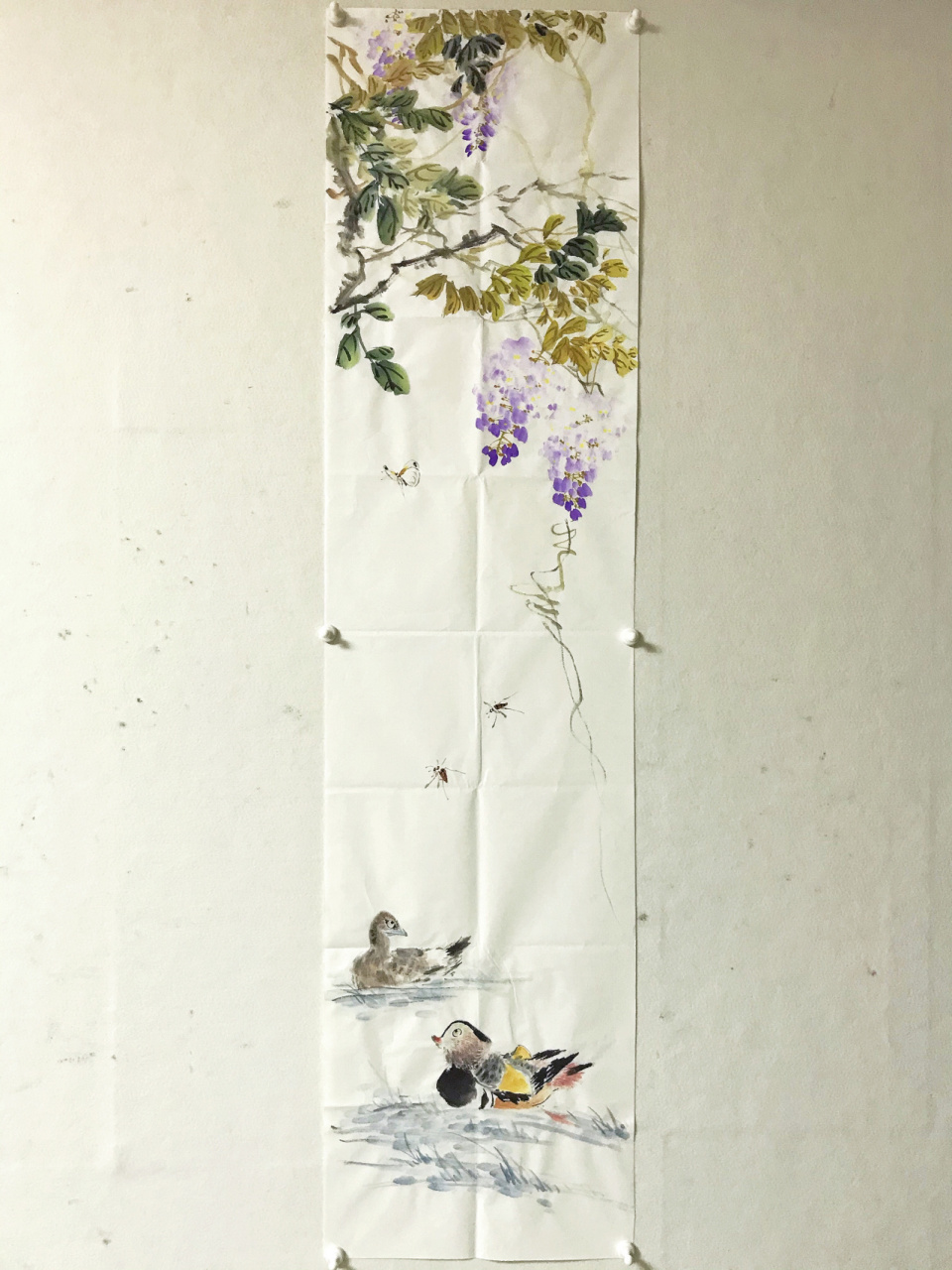 国画紫藤花 紫藤花属于豆科紫藤属的一种植物,他还被称作藤萝,朱藤