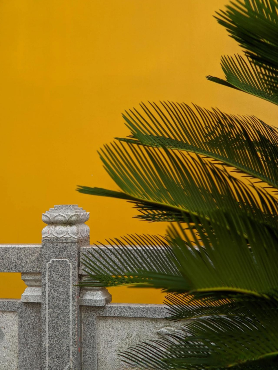 万丈深渊终有底,三寸人心不可量,坎坎坷坷谁陪谁,真真假假谁信谁,不怕