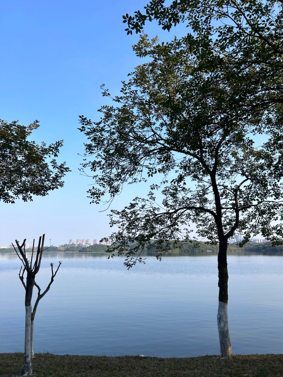 99松山湖01 东莞|松山湖风景区   秋高气爽 天高云淡  9815