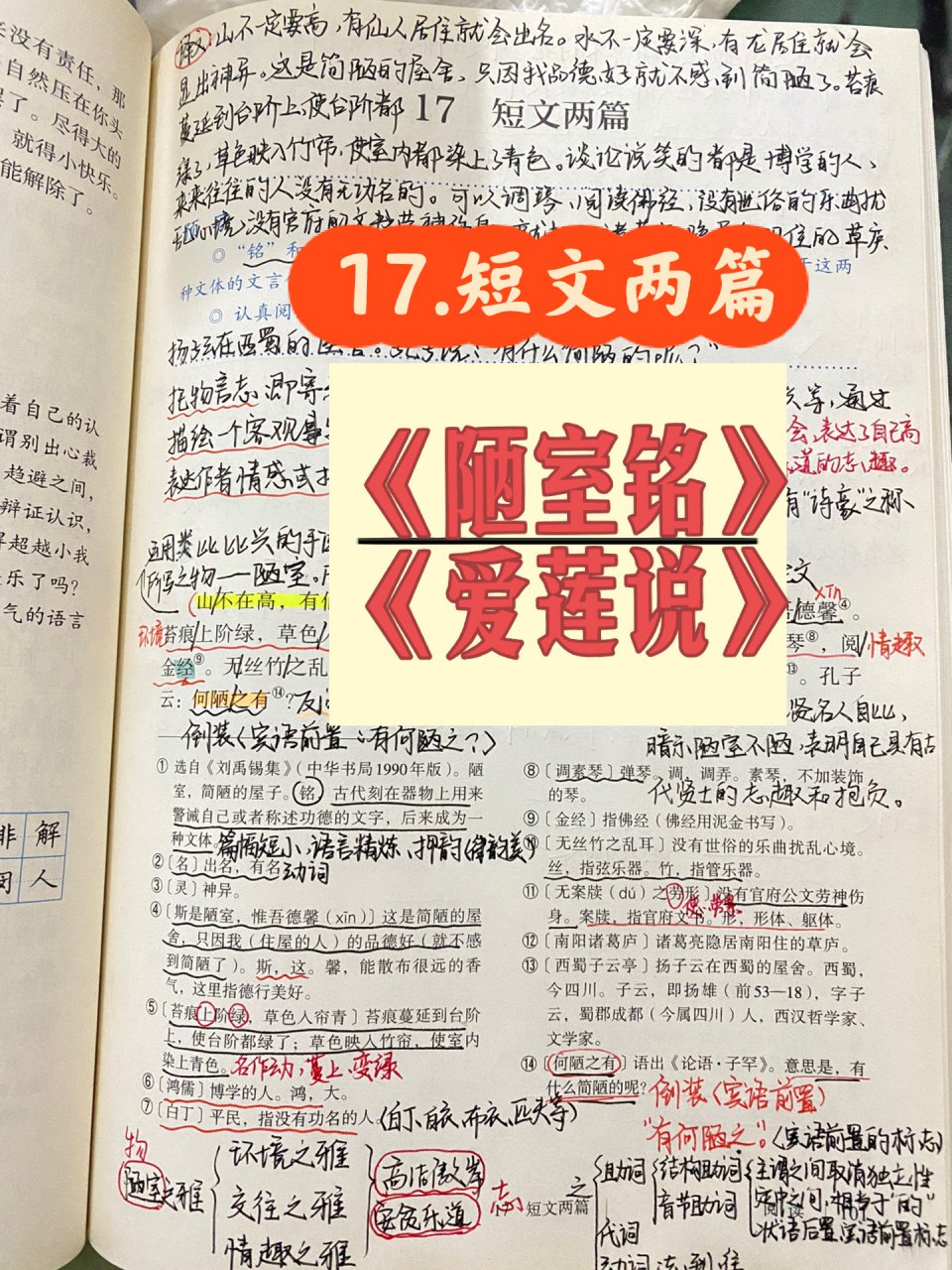 筆記|七下語文《短文兩篇》陋室銘/愛蓮說筆記 短文兩篇:《陋室銘》