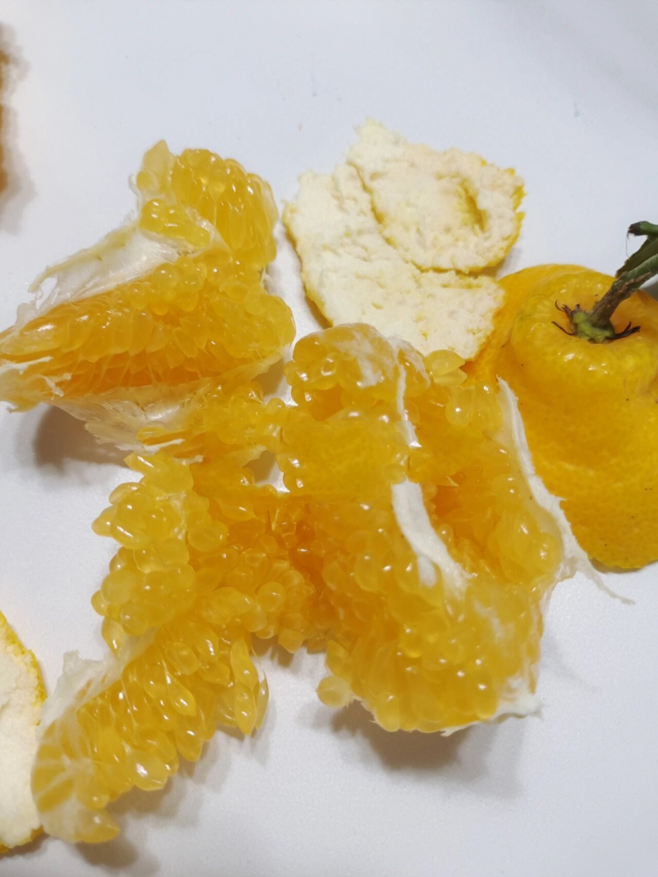 每日亲手挑选精品水果-安氏丑橘 安氏虎头丑橘 9292929292