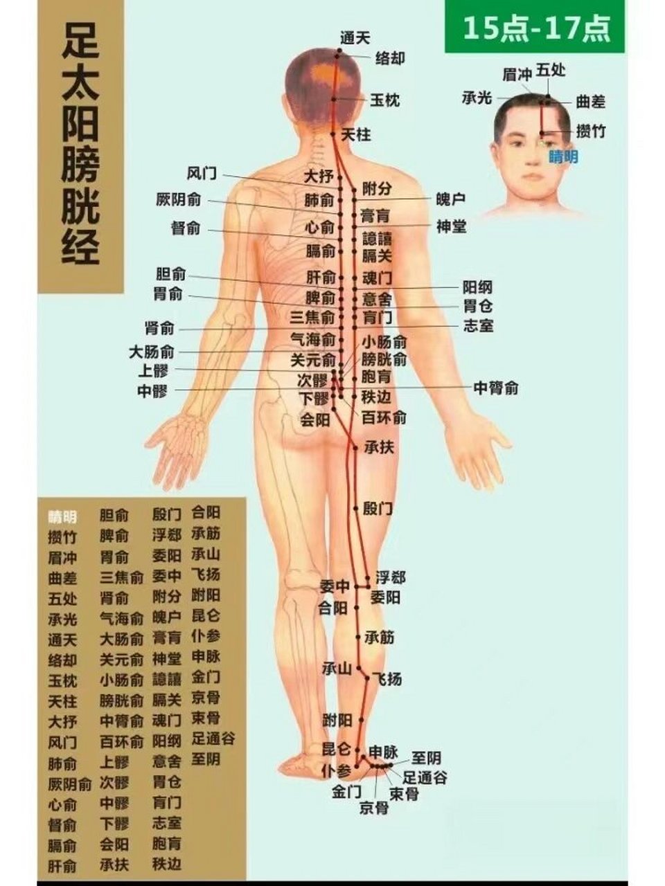 十四经络之膀胱经 是人体最大的排毒通道.督脉旁开1.