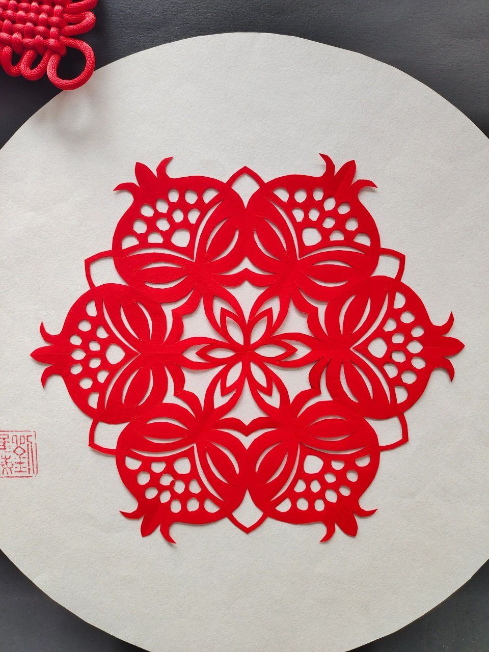 每日一剪|五折石榴